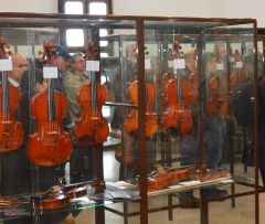 VIOLIN MAGIC